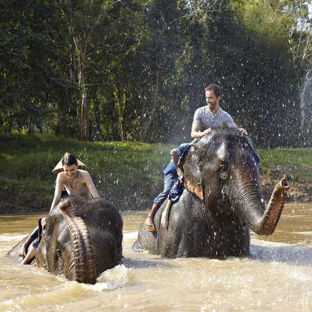 Séjour en Thailande - Anantara Golden Triangle Elephant Camp & Resort