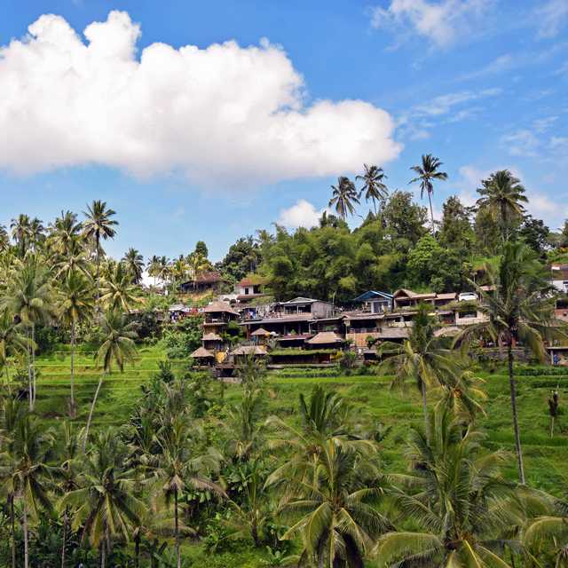Voyage Bali - Ubud