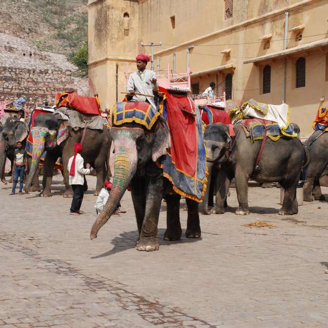 Circuit en Inde - Jaipur