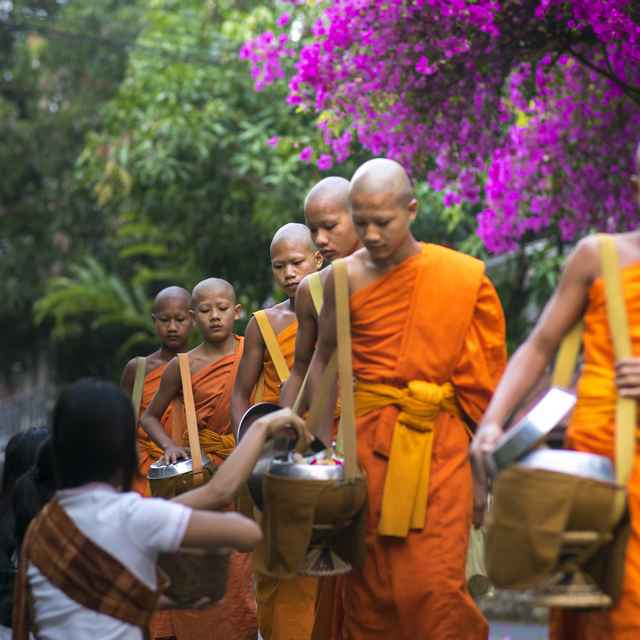 Séjour à Luang Prabang - Procession des moines